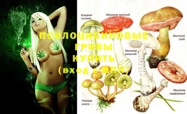 хмурый Медвежьегорск
