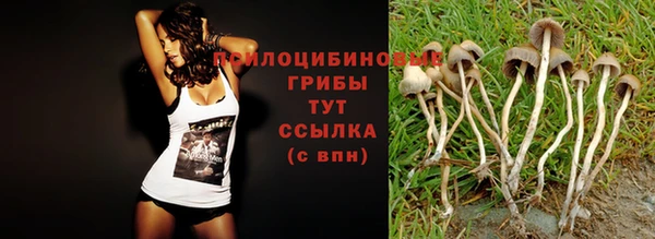 дживик Медногорск