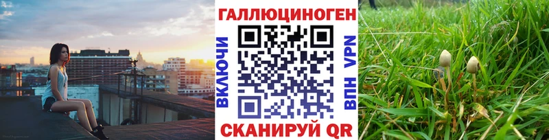 Галлюциногенные грибы GOLDEN TEACHER  Купить где  Клин 